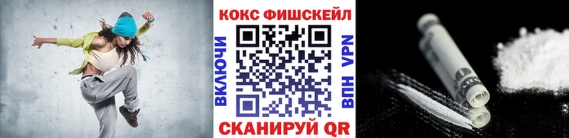 COCAIN Fish Scale  Купить где  Нижнеудинск 