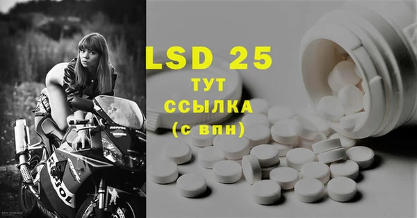 PSILOCYBIN Тында