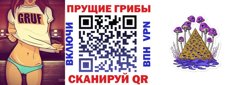 Псилоцибиновые грибы Cubensis  Купить  Нижнеудинск 